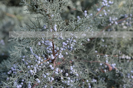 網(wǎng)貸欠了好多還不起(欠網(wǎng)貸還不起會(huì)怎樣)