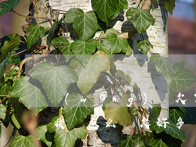 網(wǎng)貸欠了好多錢(qián)我該怎么辦(欠好多錢(qián)網(wǎng)貸還不上怎么辦)