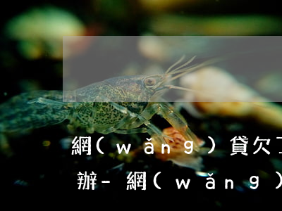 網(wǎng)貸欠了好幾家還不了了怎么辦-網(wǎng)貸欠了好幾家還不了了怎么辦呢