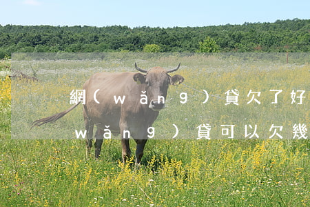 網(wǎng)貸欠了好幾年了怎么辦(網(wǎng)貸可以欠幾年)