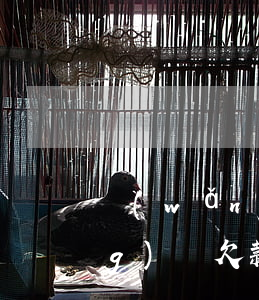 網(wǎng)貸欠了幾個月了(網(wǎng)貸欠款多久)