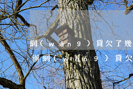 網(wǎng)貸欠了幾十個(gè)怎么辦(網(wǎng)貸欠幾千怎么辦)