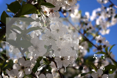 網(wǎng)貸欠了幾千不敢跟家里說(shuō)(網(wǎng)貸欠太多不敢和家里人說(shuō))