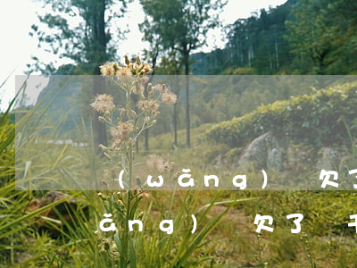 網(wǎng)貸欠了幾千塊三個月(網(wǎng)貸欠了幾千塊三個月)