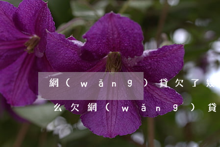 網(wǎng)貸欠了幾千塊錢有可能上門么(欠網(wǎng)貸多少錢以上才會上門催收)
