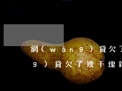 網(wǎng)貸欠了幾千塊錢(網(wǎng)貸欠了幾千塊錢,可以辦理工資卡嗎)