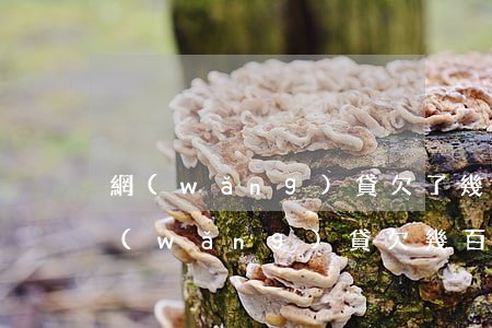 網(wǎng)貸欠了幾千塊錢說要起訴(網(wǎng)貸欠幾百塊錢會被起訴嗎)
