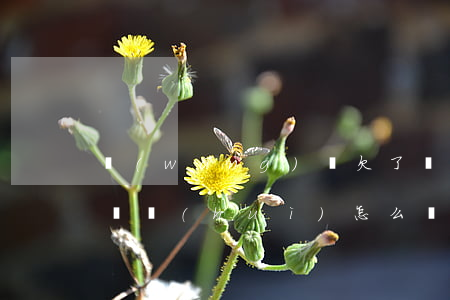網(wǎng)貸欠了幾千無(wú)力償還會(huì)怎么樣-網(wǎng)貸欠了幾千無(wú)力償還會(huì)怎么樣嗎