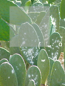 網(wǎng)貸欠了幾年沒消息了(我欠網(wǎng)貸好幾年了沒還)