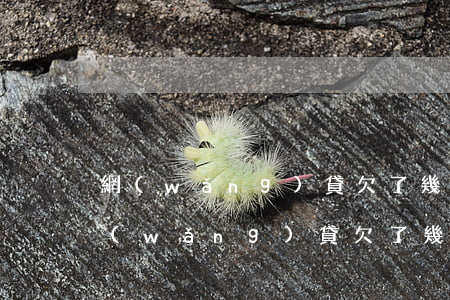 網(wǎng)貸欠了幾百要還幾千塊錢(網(wǎng)貸欠了幾百要還幾千塊錢)
