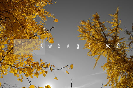 網(wǎng)貸欠了幾百說上門