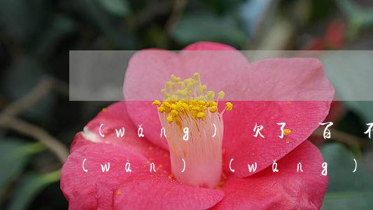 網(wǎng)貸欠了幾百還不起(欠十多萬(wàn)網(wǎng)貸還不起了)