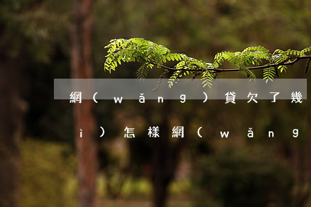 網(wǎng)貸欠了幾萬塊不還會(huì)怎樣(網(wǎng)貸欠了幾萬塊怎么辦)