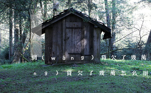網(wǎng)貸欠了幾萬 怎么辦(網(wǎng)貸欠了幾萬怎么辦)