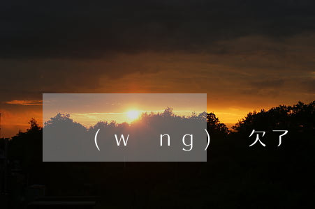網(wǎng)貸欠了幾萬我該怎么辦