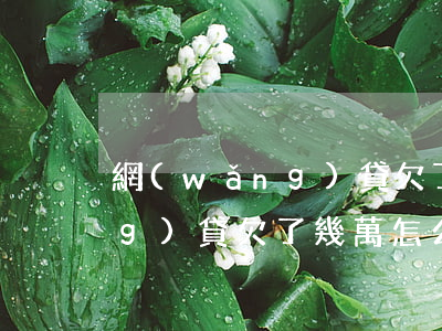 網(wǎng)貸欠了幾萬的人(網(wǎng)貸欠了幾萬怎么辦)