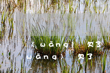 網(wǎng)貸欠了幾萬還能再貸嘛(網(wǎng)貸欠了幾萬還能再貸嘛)