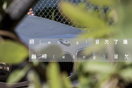 網(wǎng)貸欠了幾萬馬上還不起怎么辦(網(wǎng)貸欠了一萬多還不起怎么辦)