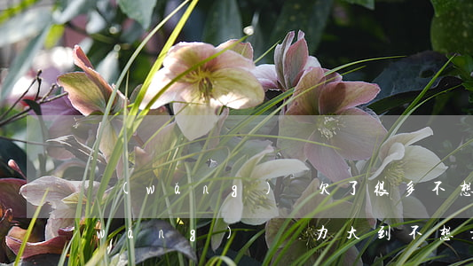 網(wǎng)貸欠了很多不想活了(欠網(wǎng)貸壓力大到不想活了)