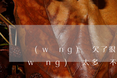 網(wǎng)貸欠了很多還不上(欠的網(wǎng)貸太多還不上怎么辦)