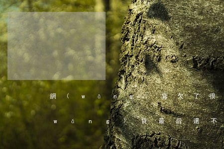 網(wǎng)貸欠了很多還不起了(欠網(wǎng)貸最后還不了的都怎么樣了)