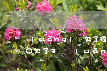網(wǎng)貸欠了很多錢怎么跟家人開口(欠了3萬網(wǎng)貸,怎么給家里人說)
