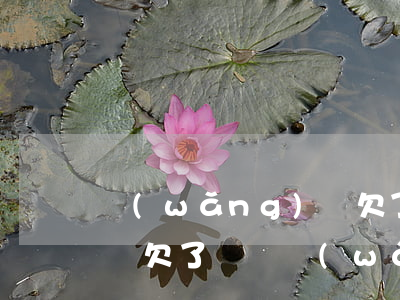 網(wǎng)貸欠了很多錢還不上了怎么辦(欠了幾萬網(wǎng)貸還不上怎么辦)