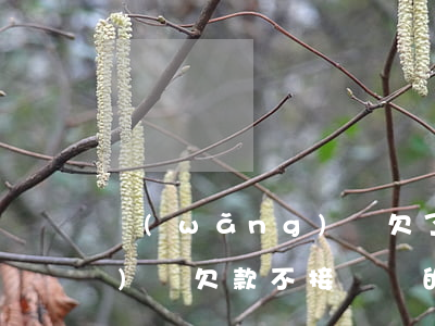 網(wǎng)貸欠了接不了(網(wǎng)貸欠款不接電話的后果)