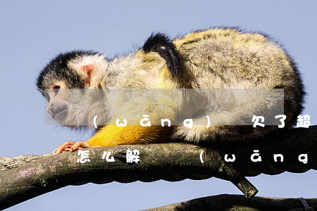 網(wǎng)貸欠了超過(guò)三年怎么解決(網(wǎng)貸超過(guò)3年不還法院怎么判)