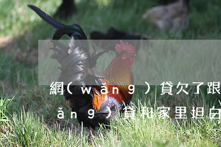 網(wǎng)貸欠了跟家里坦白(欠網(wǎng)貸和家里坦白后)