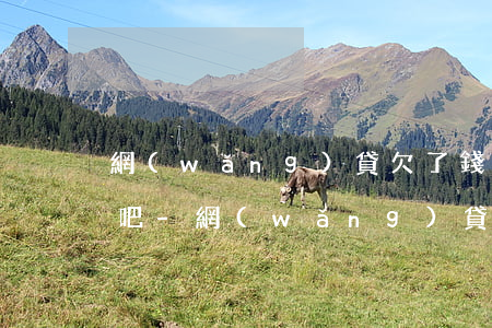 網(wǎng)貸欠了錢值得原諒嗎百度貼吧-網(wǎng)貸欠錢了怎么辦