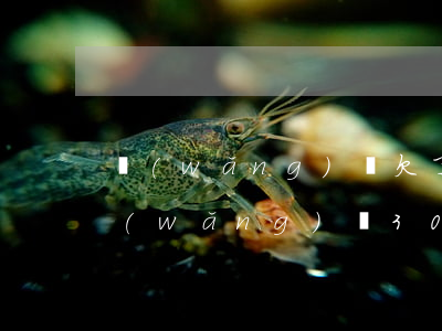 網(wǎng)貸欠了錢怎么才能翻身(欠網(wǎng)貸30多萬怎么翻身)