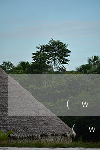 網(wǎng)貸欠了錢怎么給父母說(欠了網(wǎng)貸怎么和父母說)