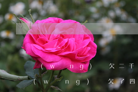 網(wǎng)貸欠二千四個(gè)月(網(wǎng)貸欠了四萬(wàn)多)