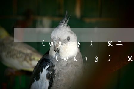 網(wǎng)貸欠二萬(wàn)多坐牢嗎(網(wǎng)貸欠二萬(wàn)多坐牢嗎)