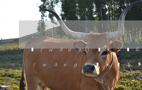 網(wǎng)貸欠二萬不還會被起訴嗎(網(wǎng)貸欠兩千多會起訴嗎)