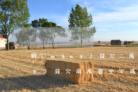 網(wǎng)貸欠二萬坐牢嗎(網(wǎng)貸欠兩萬會坐牢嗎)