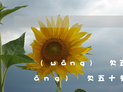 網(wǎng)貸欠五十多萬怎么辦(網(wǎng)貸欠五十多萬怎么辦)