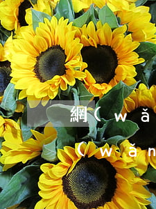 網(wǎng)貸欠五千可以辦理房貸嗎(網(wǎng)貸欠一萬多可以申請房貸嗎)