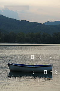 網(wǎng)貸欠五千圖片(網(wǎng)貸欠5000)