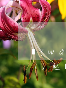 網(wǎng)貸欠五千逾期多久會(huì)起訴(網(wǎng)貸逾期五萬(wàn)會(huì)被起訴嗎)