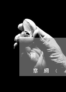 網(wǎng)貸欠五萬會(huì)被警察(網(wǎng)貸欠款5萬)