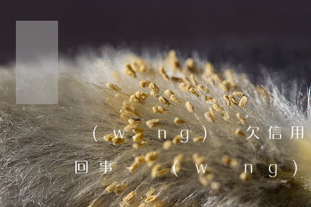 網(wǎng)貸欠信用卡的錢還不起怎么回事-網(wǎng)貸欠信用卡的錢還不起怎么回事兒