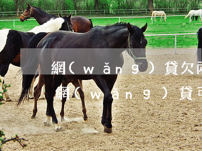 網(wǎng)貸欠兩千可以貸款買車嗎(欠網(wǎng)貸可以貸款買二手車嗎)