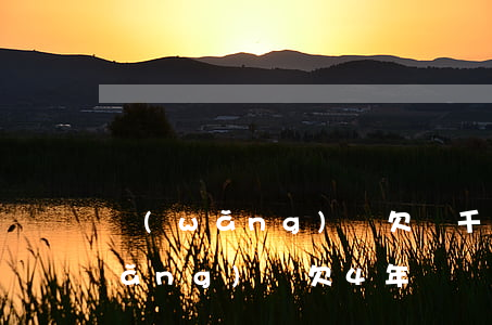 網(wǎng)貸欠兩千四年沒還了(網(wǎng)貸欠4年)