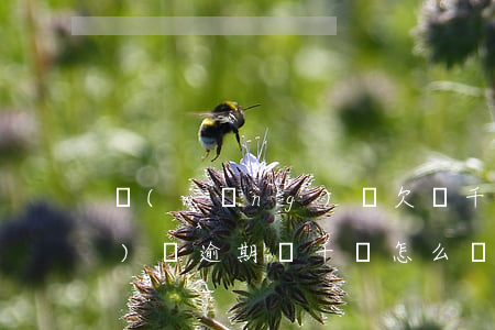 網(wǎng)貸欠兩千逾期(網(wǎng)貸逾期兩千會怎么樣)