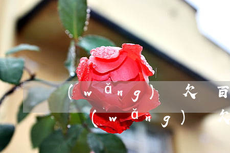 網(wǎng)貸欠兩百多塊錢可以起訴我嗎(網(wǎng)貸欠兩千塊錢會被起訴嗎)