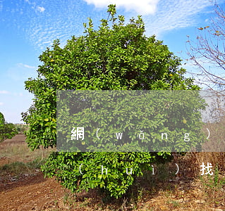 網(wǎng)貸欠兩百 會(huì)不會(huì)找上門(網(wǎng)貸幾千不還會(huì)不會(huì)找上門來)