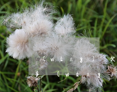 網(wǎng)貸欠兩萬塊會上門嗎(欠一千多網(wǎng)貸會上門么)