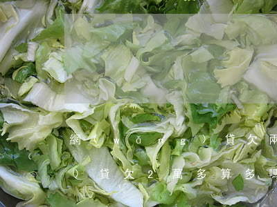 網(wǎng)貸欠兩萬多么(網(wǎng)貸欠2萬多算多嗎)